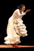 Samstag Michael  Flamencoschule Flamenco Cali Frankfurt Tanztraining 